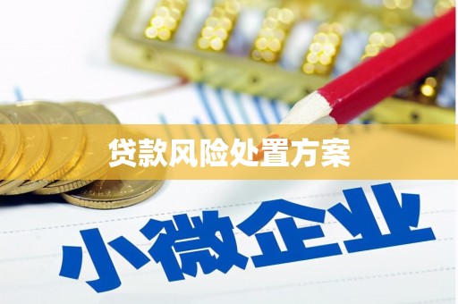 莲都贷款风险处置方案