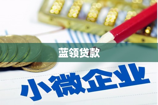 莲都蓝领贷款