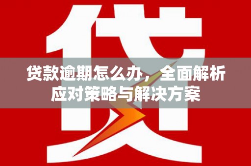 莲都贷款逾期怎么办，全面解析应对策略与解决方案