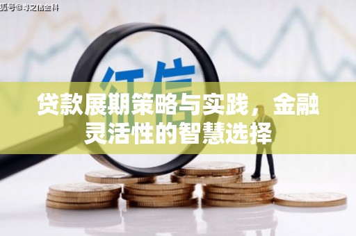 莲都贷款展期策略与实践，金融灵活性的智慧选择