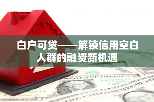 莲都白户可贷——解锁信用空白人群的融资新机遇