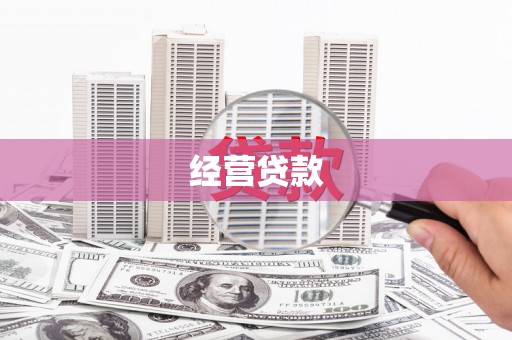 莲都经营贷款