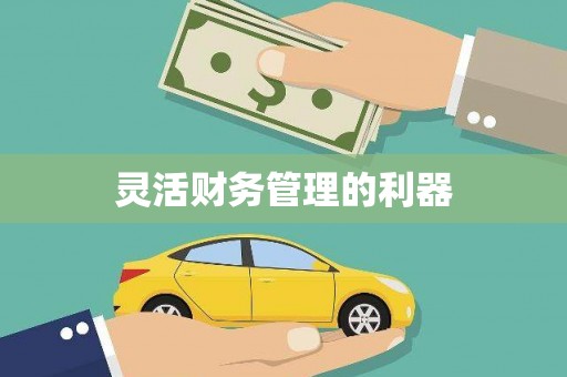 莲都灵活财务管理的利器