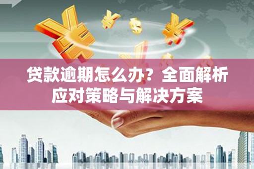 莲都贷款逾期怎么办？全面解析应对策略与解决方案