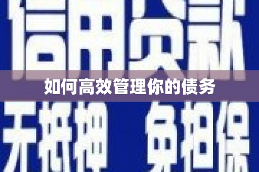 莲都如何高效管理你的债务