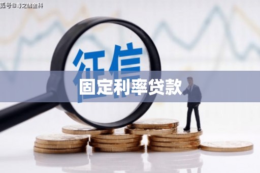 莲都固定利率贷款