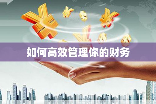 莲都如何高效管理你的财务