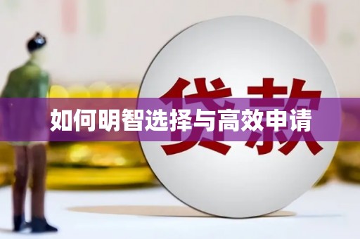 莲都如何明智选择与高效申请
