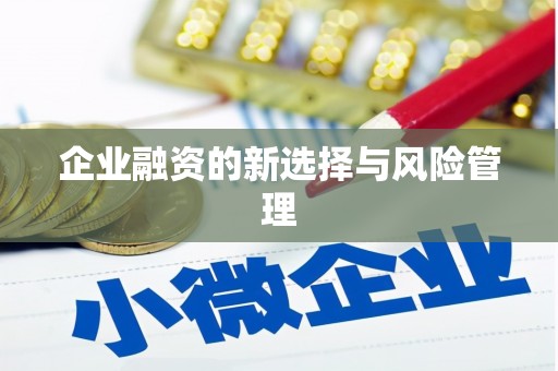 莲都企业融资的新选择与风险管理