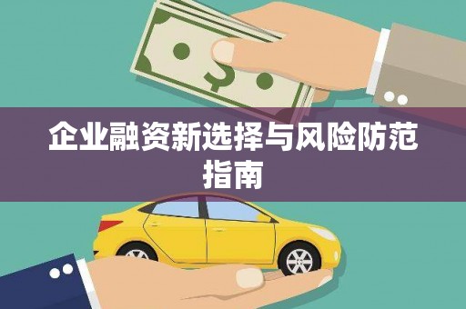 莲都企业融资新选择与风险防范指南