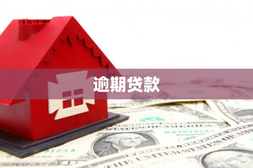 莲都逾期贷款