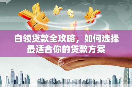 莲都白领贷款全攻略，如何选择最适合你的贷款方案