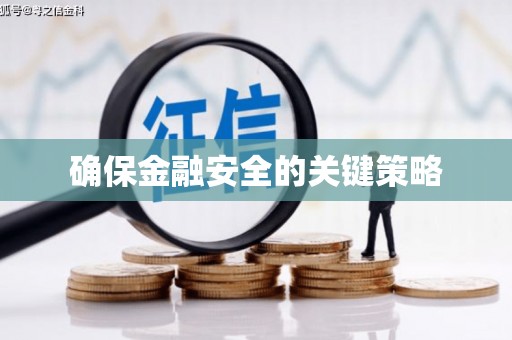 莲都确保金融安全的关键策略