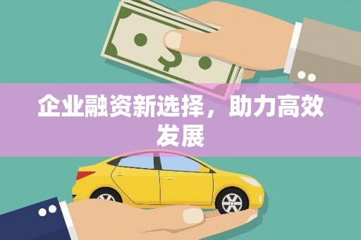 莲都企业融资新选择，助力高效发展