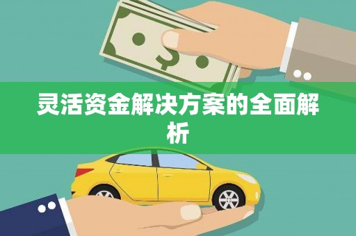 莲都灵活资金解决方案的全面解析