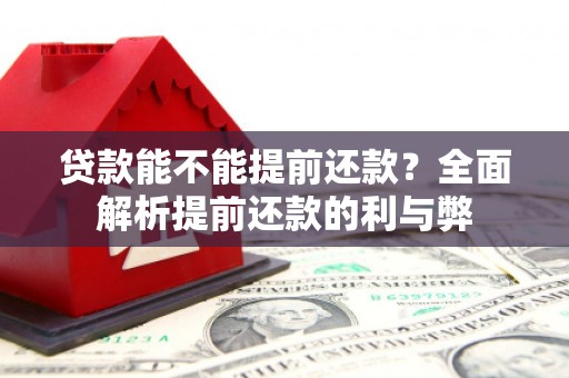 莲都贷款能不能提前还款？全面解析提前还款的利与弊