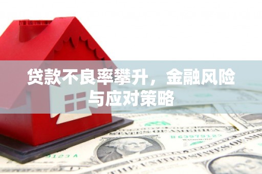 莲都贷款不良率攀升，金融风险与应对策略